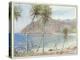 Trinidad-Albert Goodwin-Premier Image Canvas