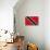 Trinitad And Tobago Flag Design with Wood Patterning - Flags of the World Series-Philippe Hugonnard-Stretched Canvas displayed on a wall