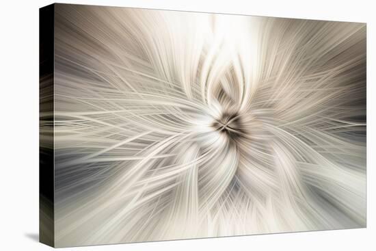 Trinity Collection 10-Philippe Saint-Laudy-Premier Image Canvas