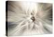 Trinity Collection 10-Philippe Saint-Laudy-Premier Image Canvas