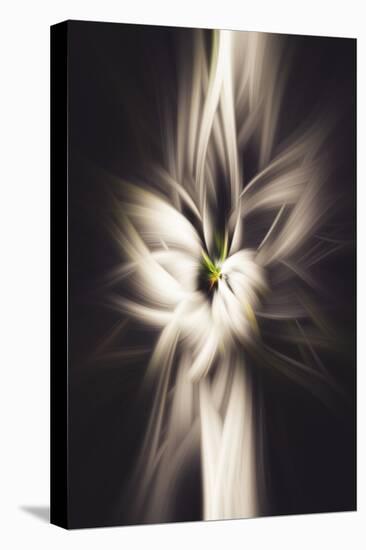 Trinity Collection 26-Philippe Saint-Laudy-Premier Image Canvas