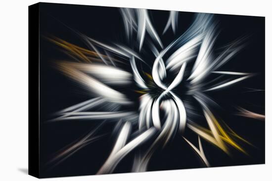 Trinity Collection 27-Philippe Saint-Laudy-Premier Image Canvas