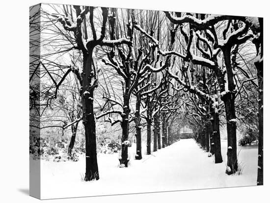 Trinity College, Oxford, Oxfordshire-Henry Taunt-Premier Image Canvas