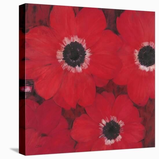 Triple Red Anemone-Ivo-Stretched Canvas