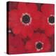 Triple Red Anemone-Ivo-Stretched Canvas