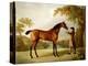 Tristram Shandy, a Bay Racehorse Held by a Groom in an Extensive Landscape, C.1760-George Stubbs-Premier Image Canvas