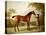 Tristram Shandy, a Bay Racehorse Held by a Groom in an Extensive Landscape, circa 1760-George Stubbs-Premier Image Canvas
