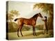 Tristram Shandy, a Bay Racehorse Held by a Groom in an Extensive Landscape, circa 1760-George Stubbs-Premier Image Canvas