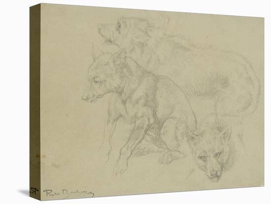 Trois études de loups-Rosa Bonheur-Premier Image Canvas