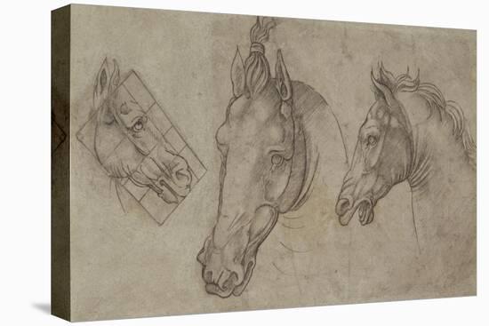 Trois têtes de chevaux-Leonardo da Vinci-Premier Image Canvas