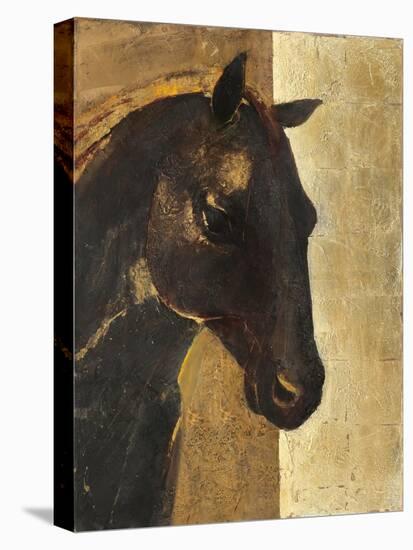 Trojan Horse I Gold-Albena Hristova-Stretched Canvas