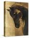 Trojan Horse II Gold-Albena Hristova-Stretched Canvas