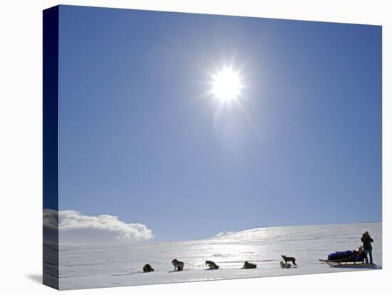 Troms, Lyngen Alps, Travel over the Mountains of the Lyngen Alps Via Dog Sled, Norway-Mark Hannaford-Premier Image Canvas