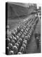 Troops Ready for D-Day Invasion of Normandy are Reviewed before Shipping Out, During WWII-Bob Landry-Premier Image Canvas