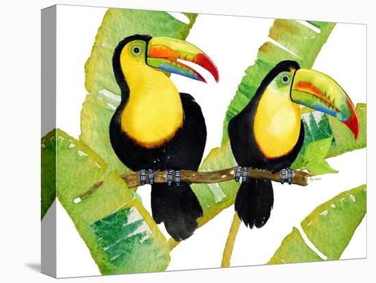 Tropcial Toucan Pair-Mary Escobedo-Stretched Canvas