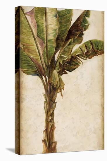 Tropic Banana I-Patricia Pinto-Stretched Canvas