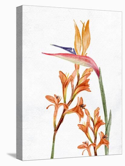 Tropic Floral 1-Ann Bailey-Stretched Canvas