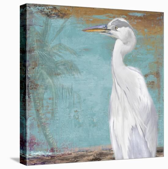 Tropic Heron II-Patricia Pinto-Stretched Canvas