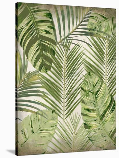 Tropic Palms 1-Kimberly Allen-Stretched Canvas