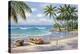 Tropical Bay-Sung Kim-Stretched Canvas