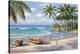Tropical Bay-Sung Kim-Stretched Canvas