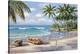 Tropical Bay-Sung Kim-Stretched Canvas
