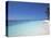 Tropical Beach at Maldives, Indian Ocean-Jon Arnold-Premier Image Canvas