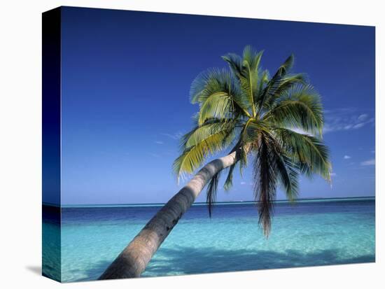 Tropical Beach at Maldives-Jon Arnold-Premier Image Canvas