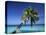 Tropical Beach at Maldives-Jon Arnold-Premier Image Canvas