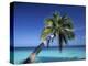 Tropical Beach at Maldives-Jon Arnold-Premier Image Canvas