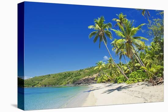 Tropical Beach, Drawaqa Island, Yasawa Island Group, Fiji, South Pacific Islands, Pacific-Marco Simoni-Premier Image Canvas