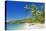 Tropical Beach, Drawaqa Island, Yasawa Island Group, Fiji, South Pacific Islands, Pacific-Marco Simoni-Premier Image Canvas