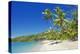 Tropical Beach, Drawaqa Island, Yasawa Island Group, Fiji, South Pacific Islands, Pacific-Marco Simoni-Premier Image Canvas