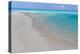 Tropical Beach I-Kathy Mahan-Premier Image Canvas