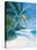 Tropical Beach II-Paul Brown-Stretched Canvas