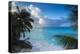 Tropical Beach, La Digue, Seychelles-Jon Arnold-Premier Image Canvas