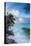 Tropical Beach, La Digue, Seychelles-Jon Arnold-Premier Image Canvas