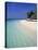 Tropical Beach, Maldives, Indian Ocean-Jon Arnold-Premier Image Canvas