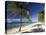 Tropical Beach on Isla de la Juventud, Cuba-Gavriel Jecan-Premier Image Canvas