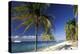 Tropical Beach on Isla de la Juventud, Cuba-Gavriel Jecan-Premier Image Canvas