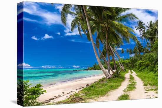 Tropical Beach on Samoa Island with Palm Trees and Dirt Road-Martin Valigursky-Premier Image Canvas