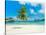 Tropical beach, Seychelles (detail)-null-Stretched Canvas