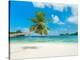 Tropical beach, Seychelles (detail)-null-Stretched Canvas