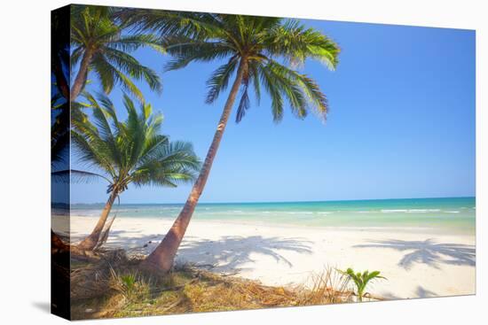 Tropical Beach with Coconut Palm-Hydromet-Premier Image Canvas