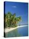 Tropical Beach with Palm Trees at Kudabandos in the Maldive Islands, Indian Ocean-Tovy Adina-Premier Image Canvas