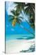 Tropical Beach-null-Stretched Canvas