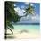 Tropical Beach-Peter Scoones-Premier Image Canvas