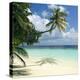 Tropical Beach-Peter Scoones-Premier Image Canvas