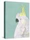 Tropical Birds - Cockatoo-null-Stretched Canvas