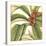 Tropical Blooms and Foliage I-Jennifer Goldberger-Stretched Canvas